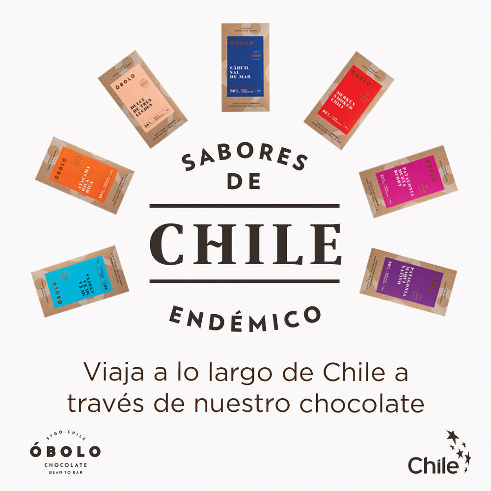 Merkén Smoked Chili 65% Cacao Caja 10 Barras