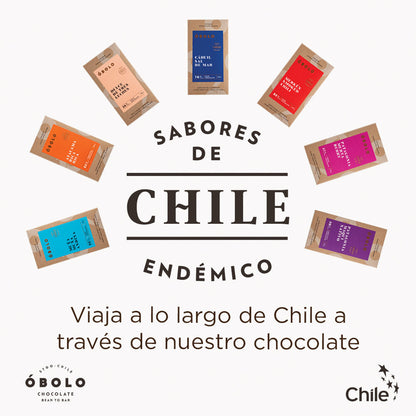 Merkén Smoked Chili 65% Cacao Caja 10 Barras